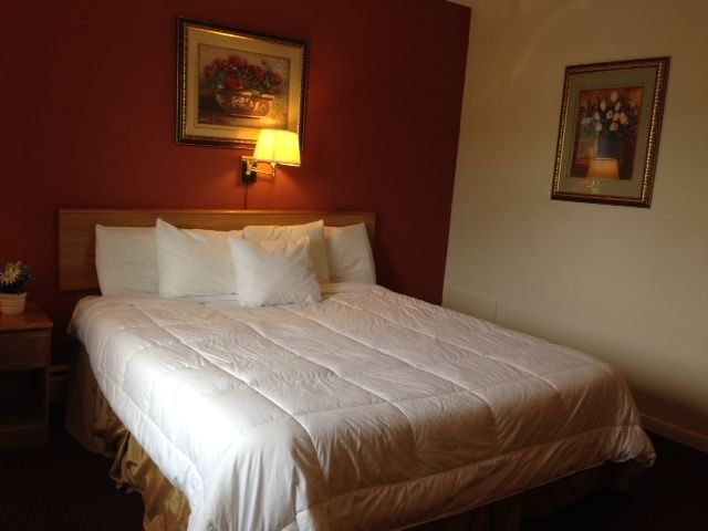 Rodeway Inn Manchester Room photo